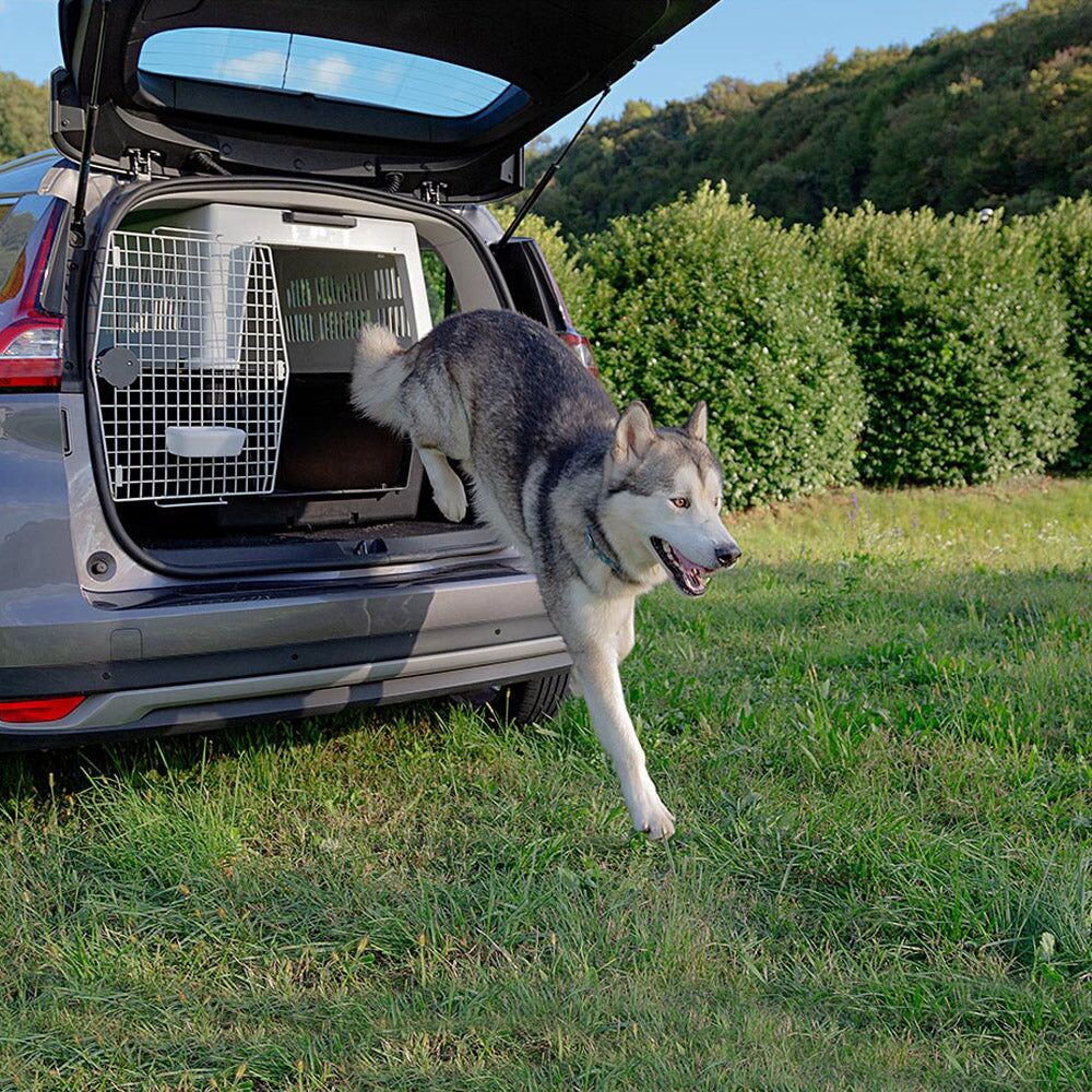 FP73070021|60000 Hundabúr - Atlas Hundabúr - Atlas 70 Grey