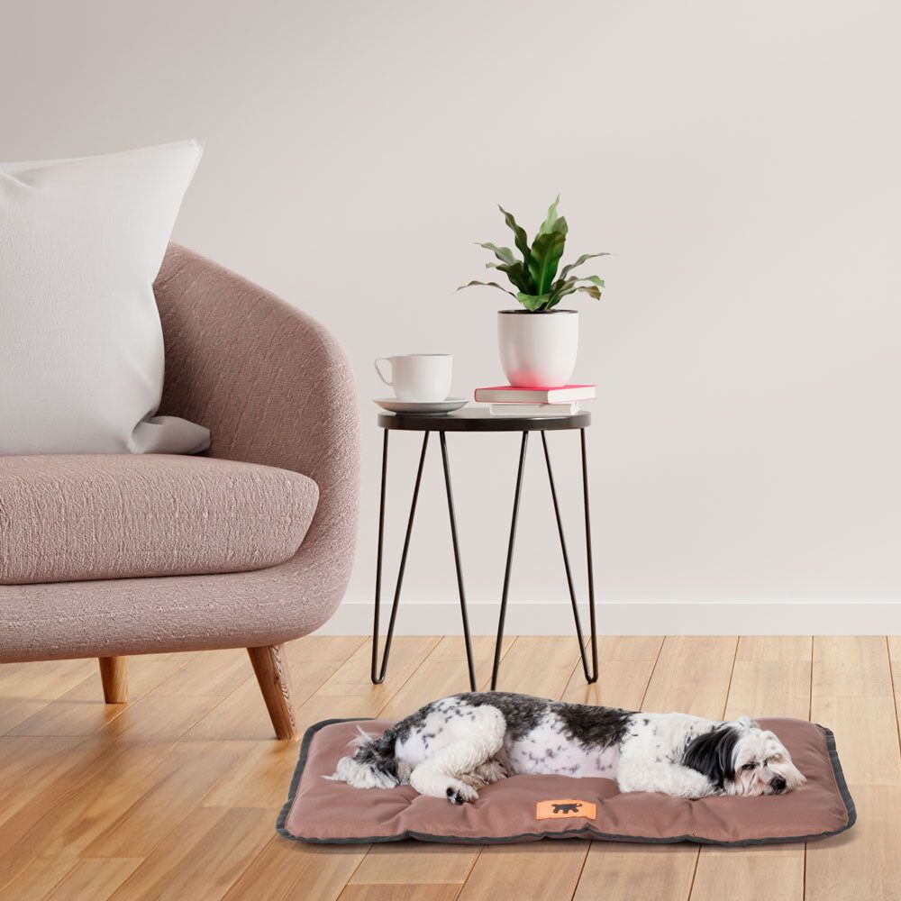 FP81078012|60000 JOLLY 60 CUSHION BROWN