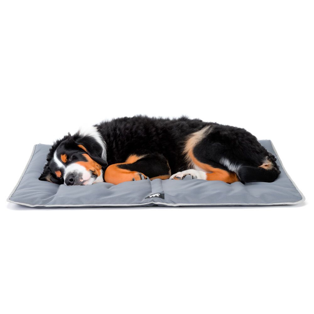 FP81083121|70000 Jolly 110 Cushion Grey