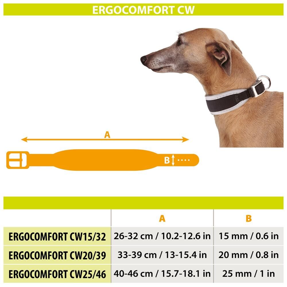 FP75454955|20000 Ergocomfort Cw20/39 Grey