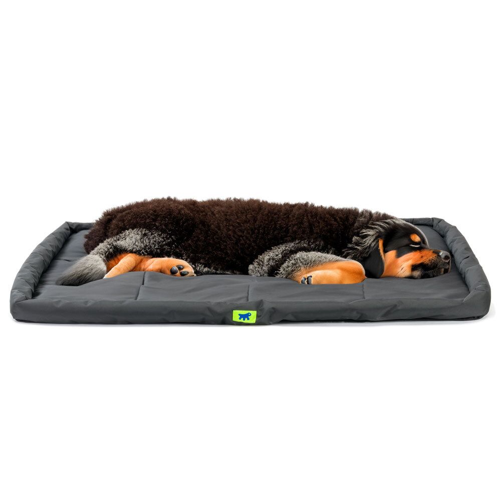 FP81199017|30000 TENDER TECH 120 Svart CUSHIO