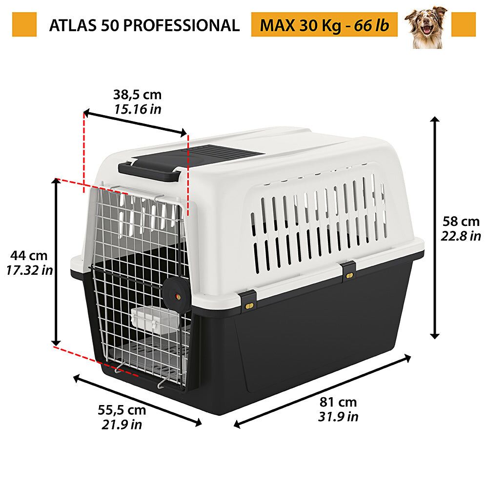 FP73050021|130000 Hundabúr - Atlas 50 Grey